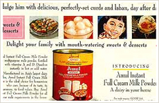 Amul Full Cream Milk Powder